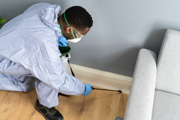 Professional Pest Control in Alachua, FL